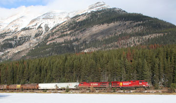 A CP Rail train moves grain near the Canadian Rockies. PHOTO CP