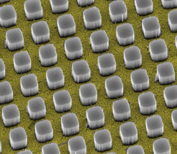 Rendering of the design's silicon nanopillars. PHOTO: Vijay Narasimhan, Stanford University