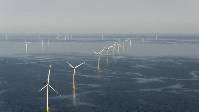 The company will build a pair of wind farms off the Netherlands coast, each with a capacity of 350 megawatts. PHOTO: Dong Energy