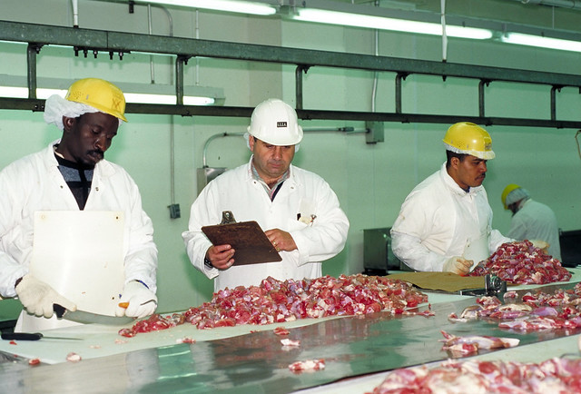 Food manufacturing jobs calgary